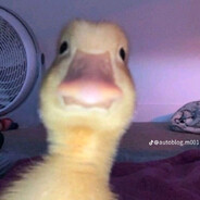 ϟQẁ1ẍ ☯ - steam id 76561199242742705