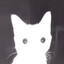 ತ⁠_⁠ತ Foxy Knight