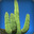 cactus sock