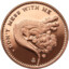 Sir. Copper Coin