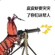 皮皮虾之瓜皮王