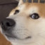lo