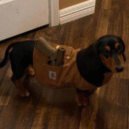 Den4ik-Chinases - steam id 76561198065828434