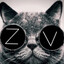 zz