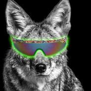 KoolKoyote