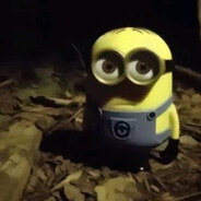 chapcha - steam id 76561199339439969