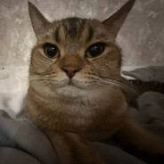 МАЛЬЧИК ТУАЛЕТ