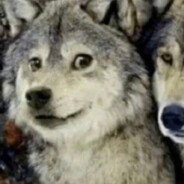 脑子被我对象带走了