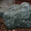 Stein