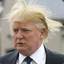 DonaldTrump&#039;sToupee