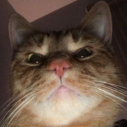 piurek ogurek g4skins