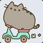 Cat On A Scooter