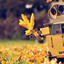 WALL-E