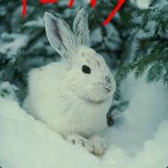 ήÐ*| l3Ny xÐ Aw3 & -=[S.c]=-l3Ny