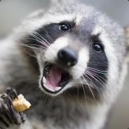lubriX - steam id 76561197961441036