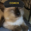 COACH brian