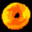 Bagel
