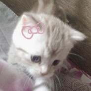 rina
