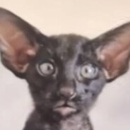 Коля - steam id 76561199017228915