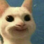 Toygu