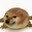 Rookbell