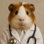 Dr. Marsvin