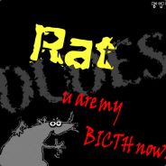 Rat