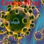 corona virus