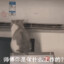 水天之泪