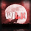 WILK g4skins