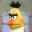 bert