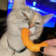 cheesepuff