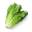 Lechuga