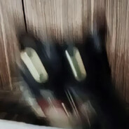 玩家头像