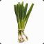 GreenOnion