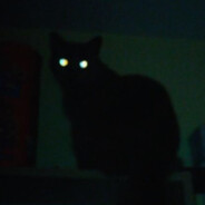 WeirdPaw avatar
