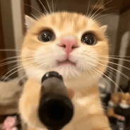 taequandoge