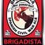 Brigadista