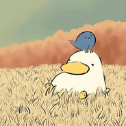 智商不在服务区