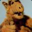 Alf