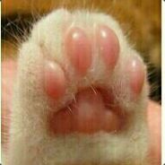 新手，再说删游戏了