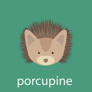 CrashPorcupine