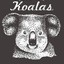 TheRealKoalaBear