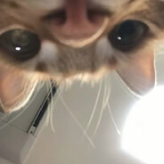 EE