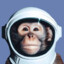 SpaceMonke