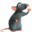 Emi Rat