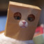 sandriniTV