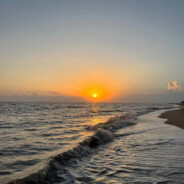 青丝白发度何年