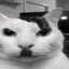 Adolf Kitler