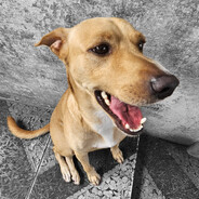 e de picole tu gosta?